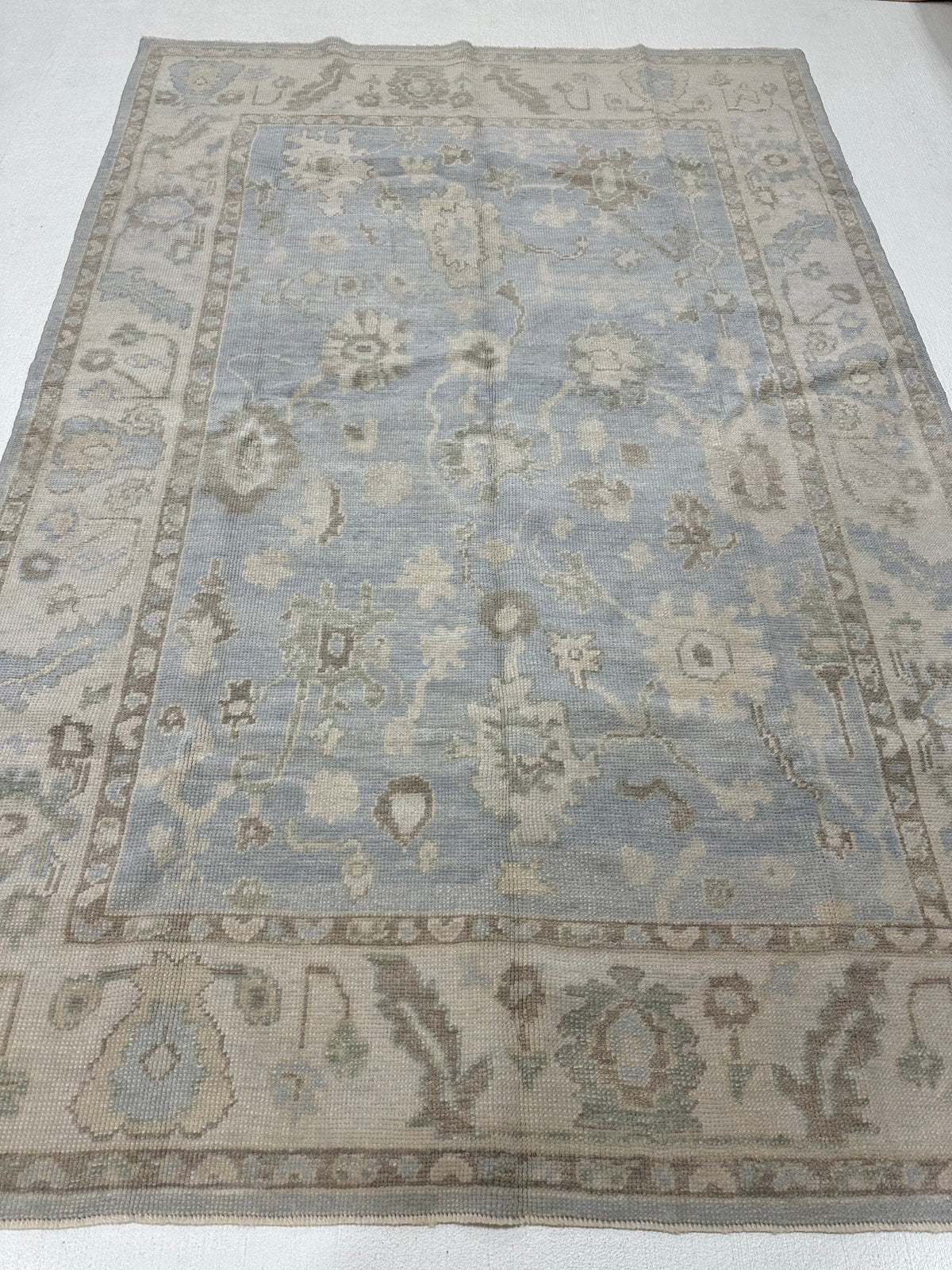 Darcy Turkish Oushak Rug