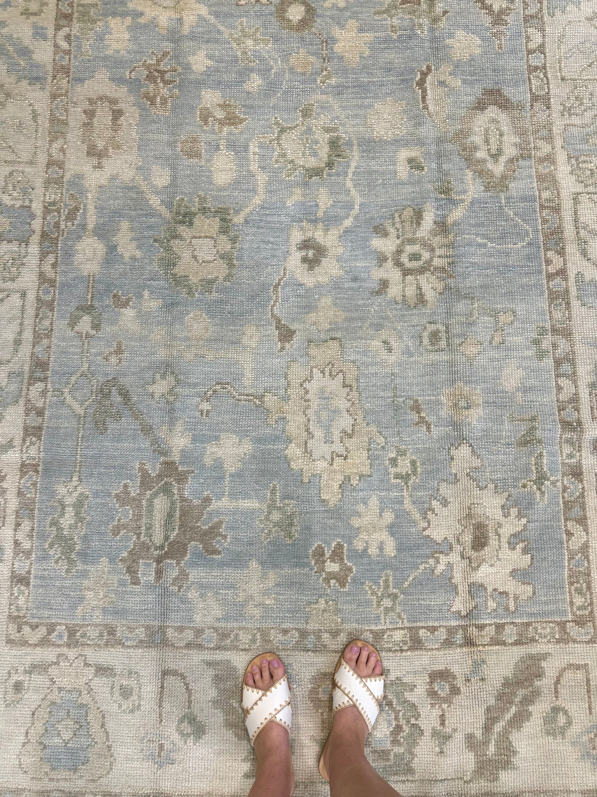 Darcy Turkish Oushak Rug