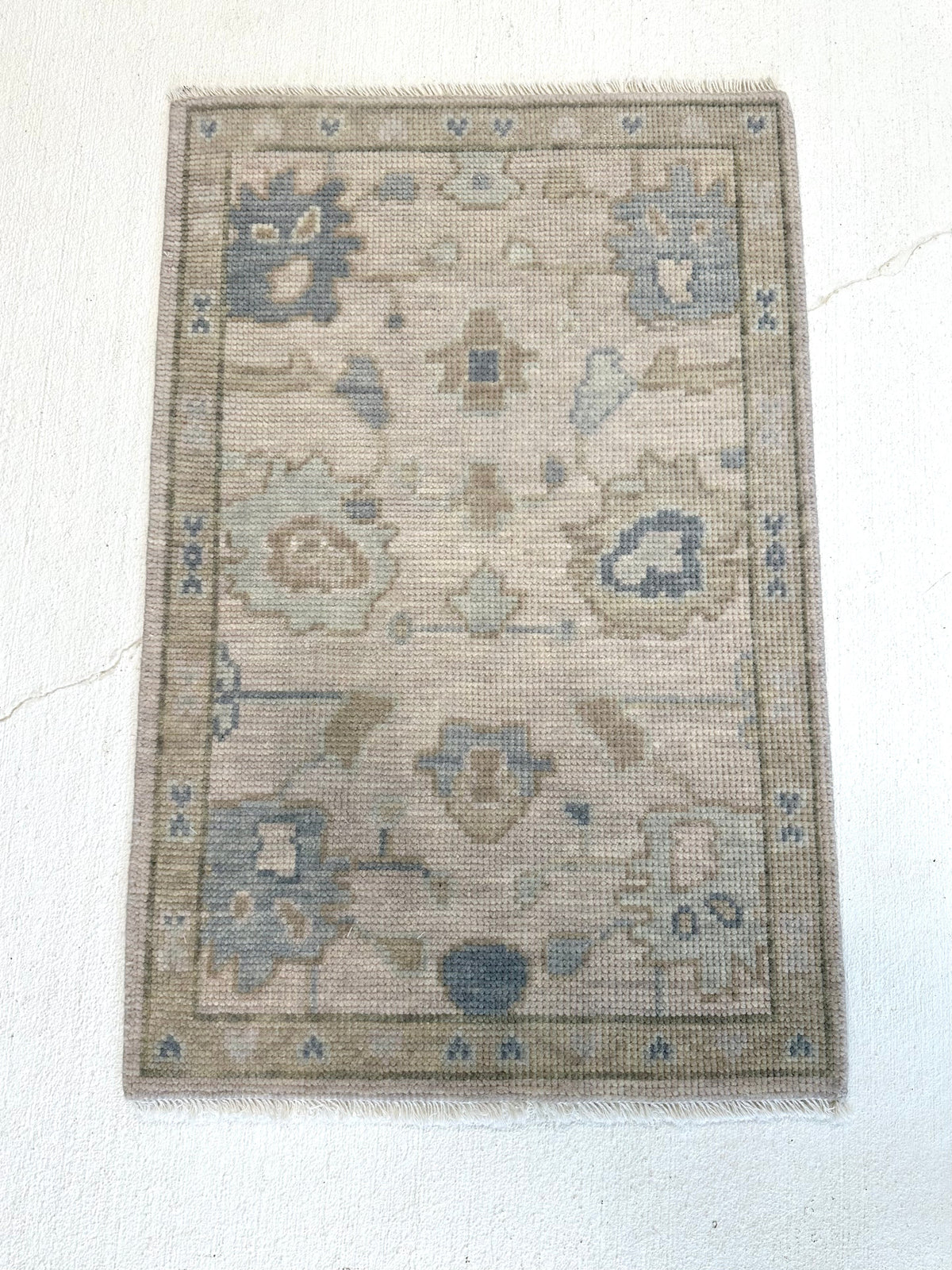 Evangeline Modern Oushak Rug