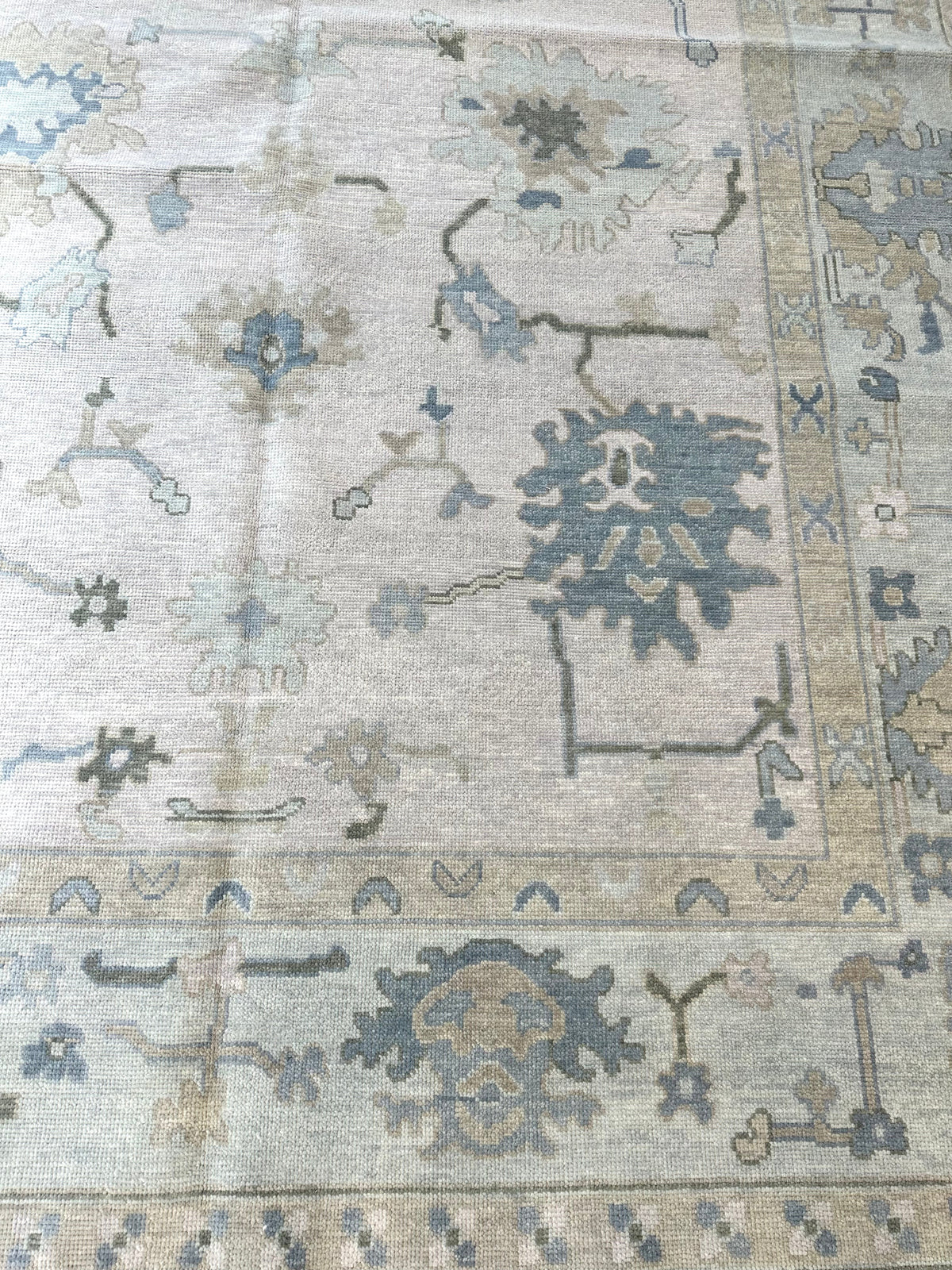Evangeline Modern Oushak Rug