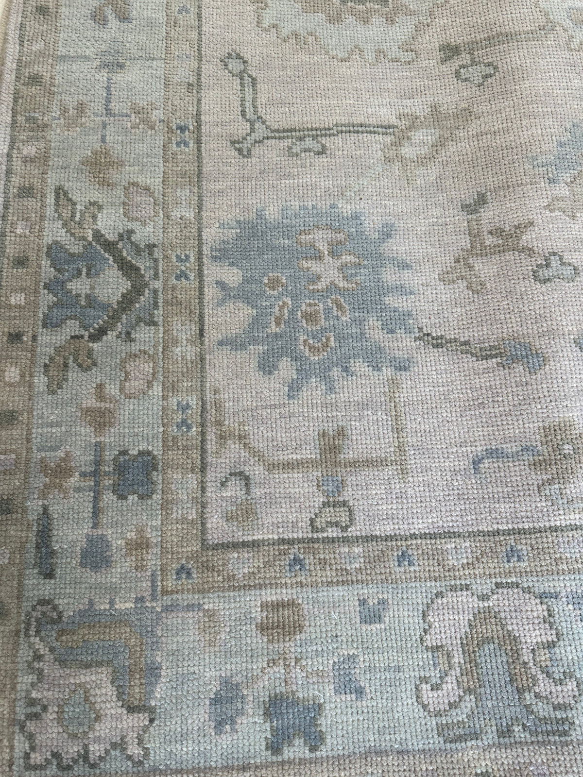 Evangeline Modern Oushak Rug