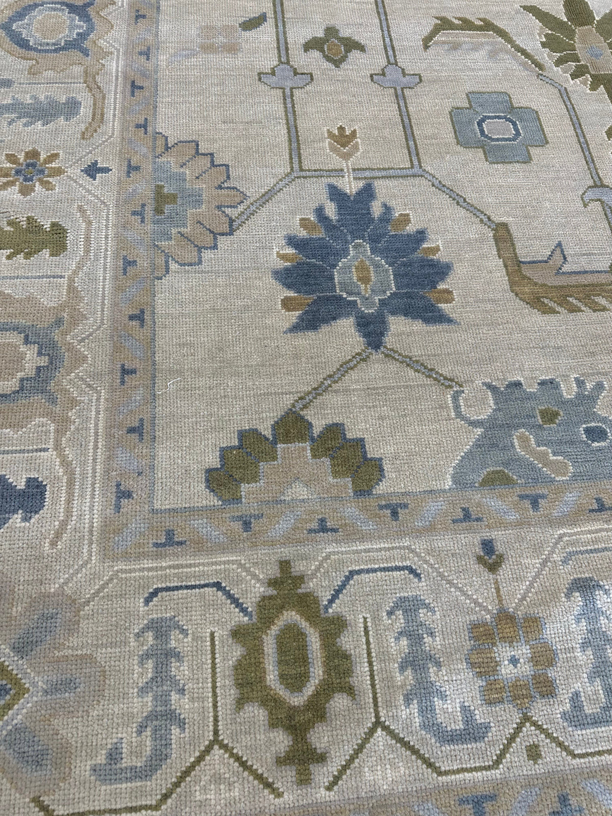 Emmaline Modern Oushak Rug