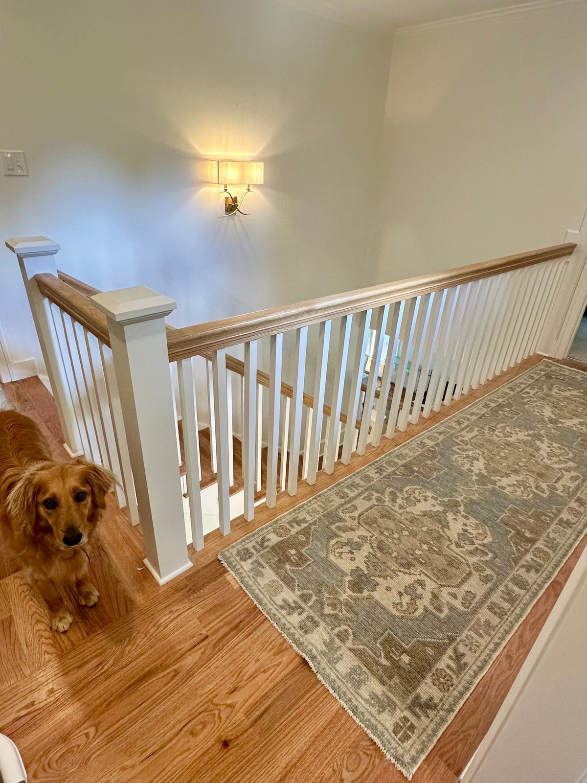 Molly Turkish Oushak Rug