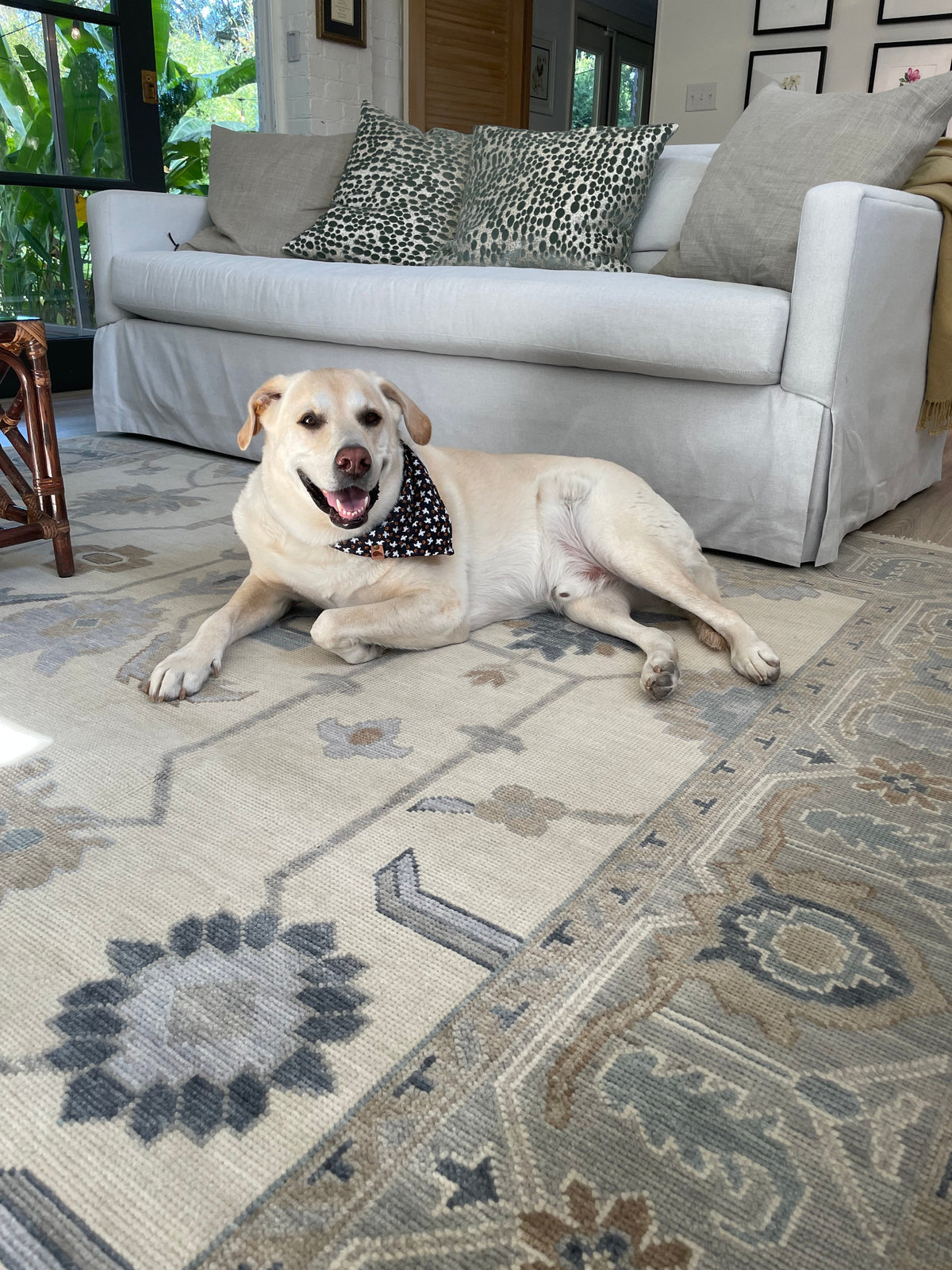 Emory Modern Oushak Rug