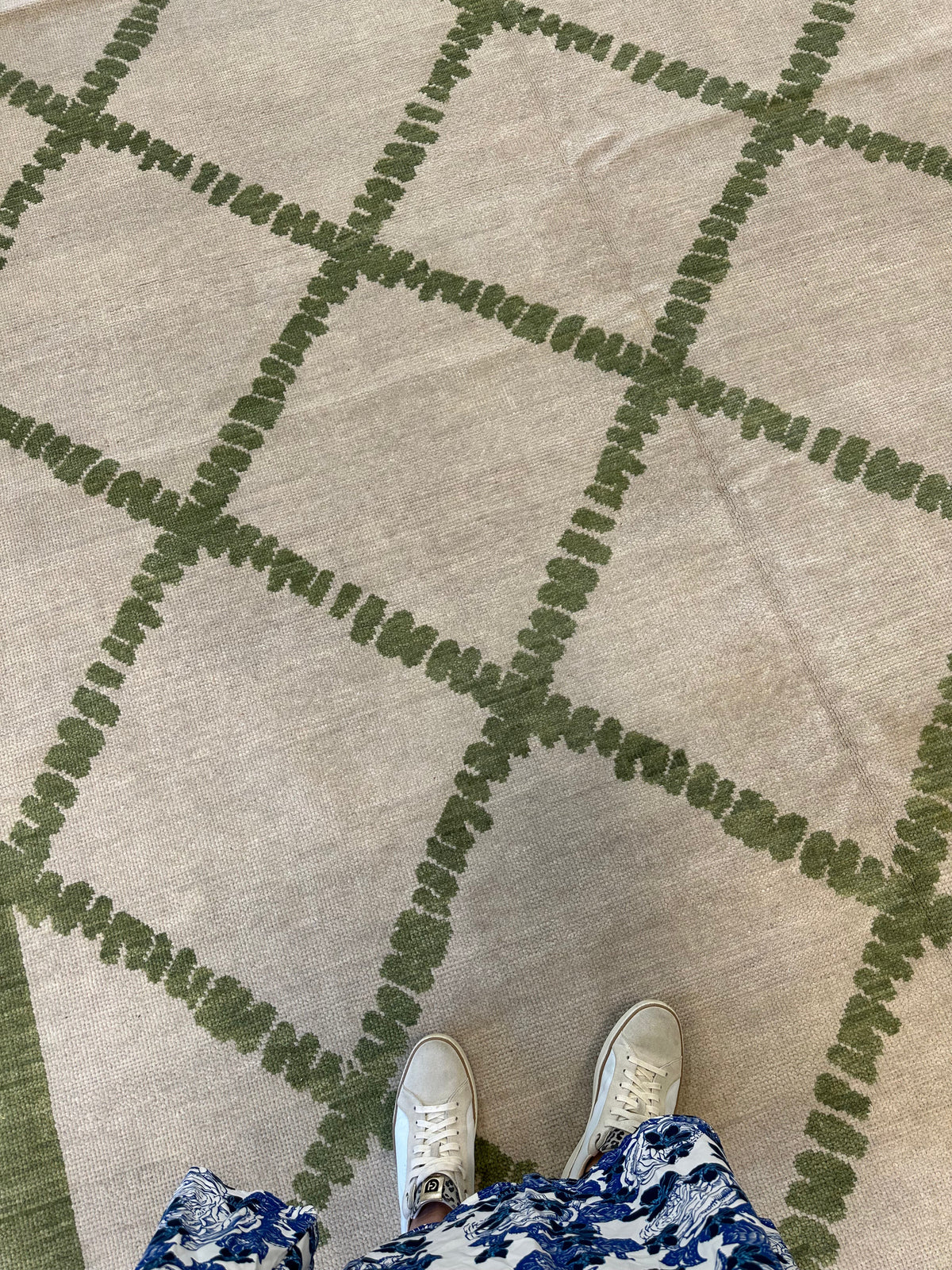 Lynn Modern Oushak Rug