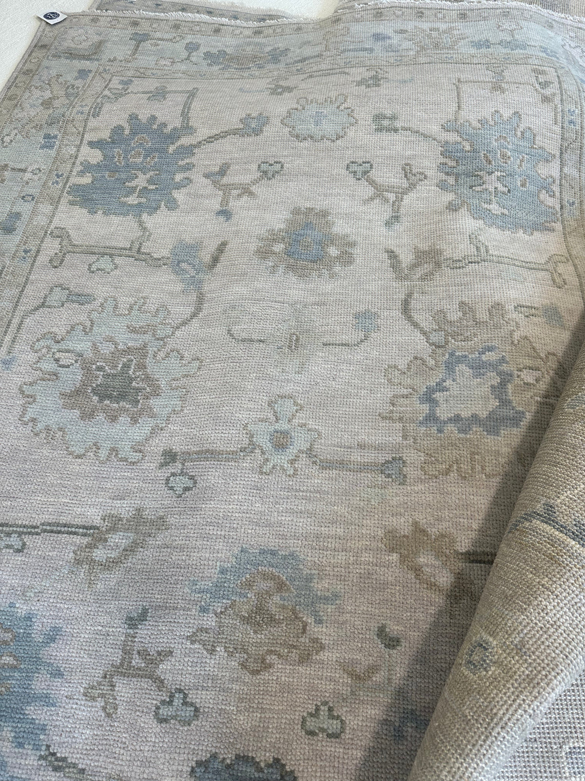 Evangeline Modern Oushak Rug